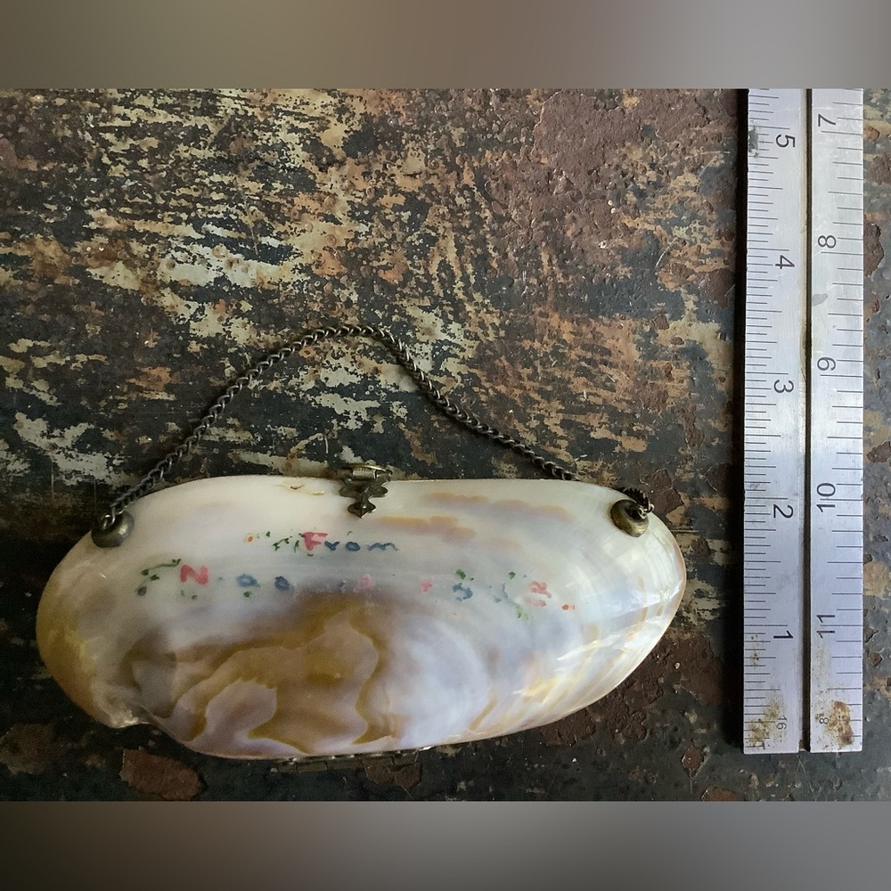 Antique Victorian Oyster Shell Purse - Picture 5 of 6